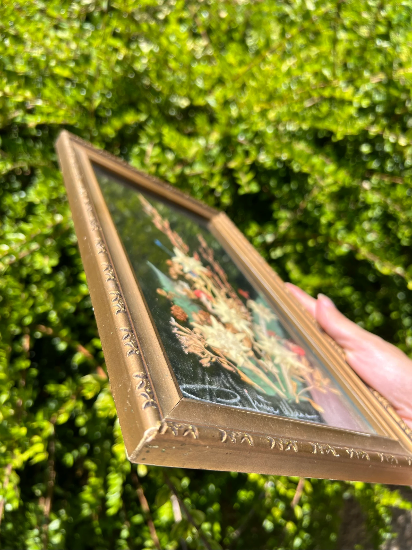 💮 Vintage frame gedroogde bloemen Edelweiss gesigneerd – Wanddecoratie 32 x 19 cm – photo 9